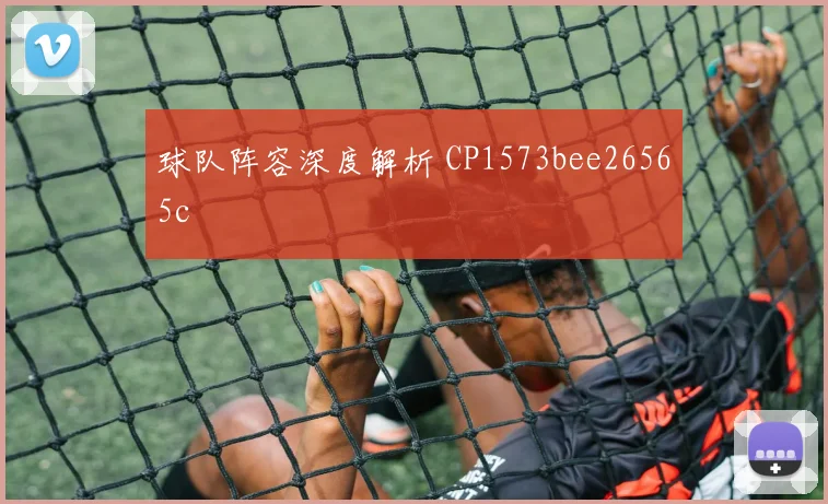 球队阵容深度解析 CP1573bee26565c