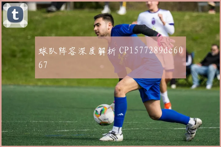 球队阵容深度解析 CP1577289dc6067